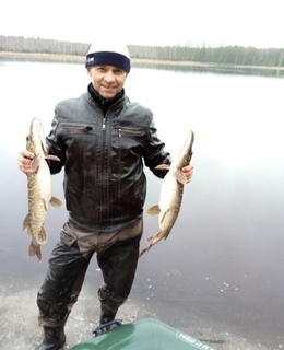 Vova